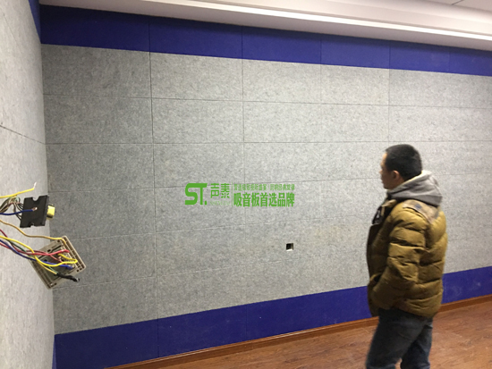 防撞防火環(huán)保吸音板系列(圖3) 防撞防火環(huán)保吸音板系列(圖3)