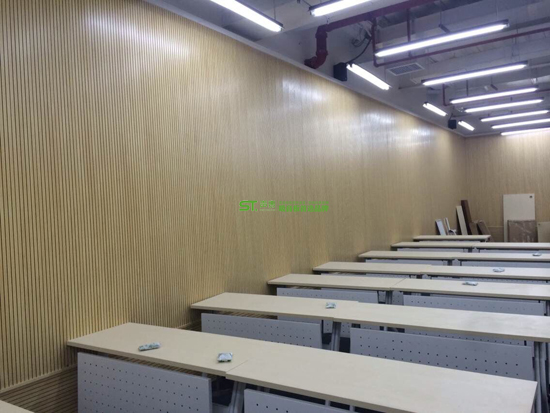 汕頭會(huì)議室阻燃吸音板-槽木吸音板|孔木吸音板(圖9) 汕頭會(huì)議室阻燃吸音板-槽木吸音板|孔木吸音板(圖9)