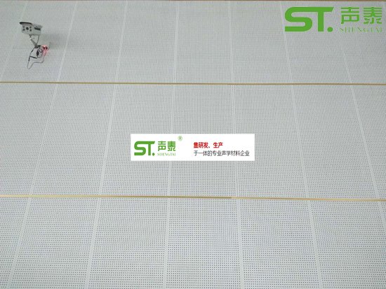 四川成都體育館聲學(xué)工程案例(圖3) 四川成都體育館聲學(xué)工程案例(圖3)